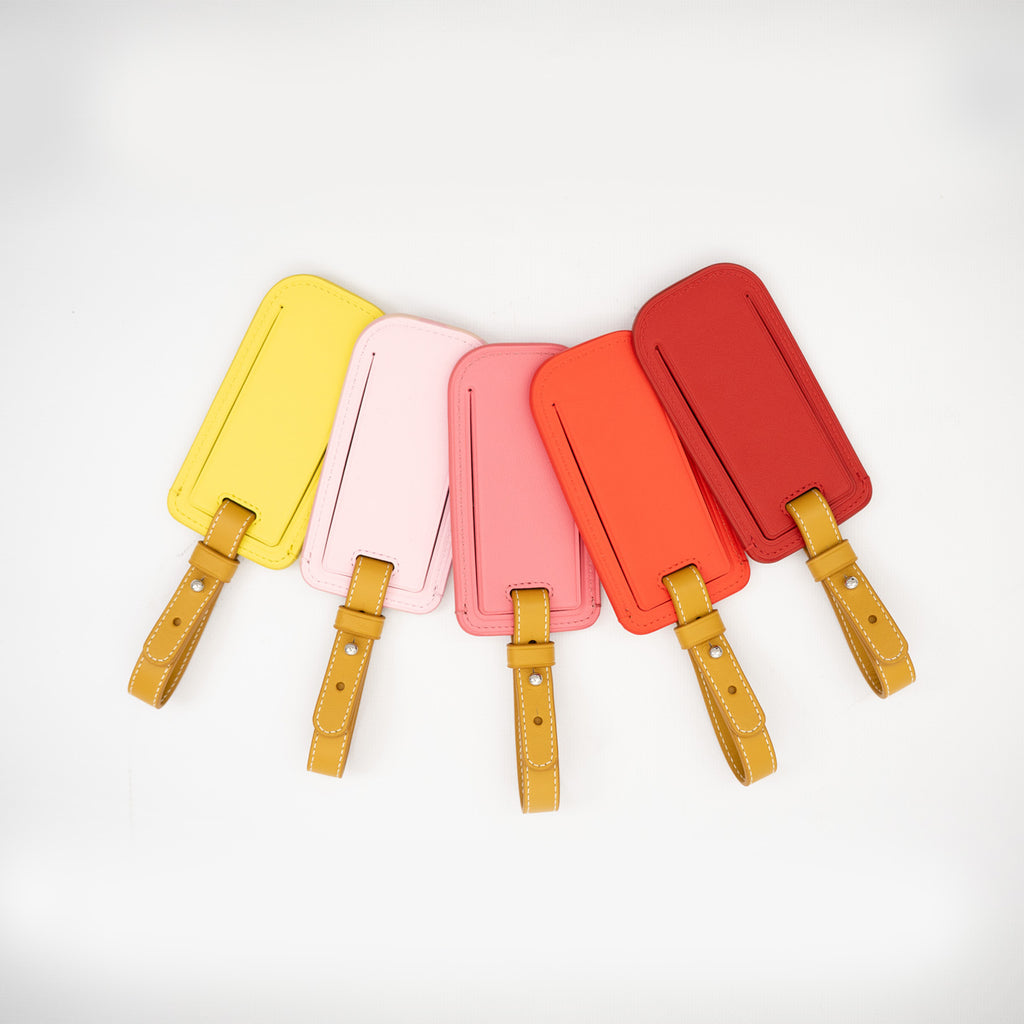 Popsicle Luggage Tag