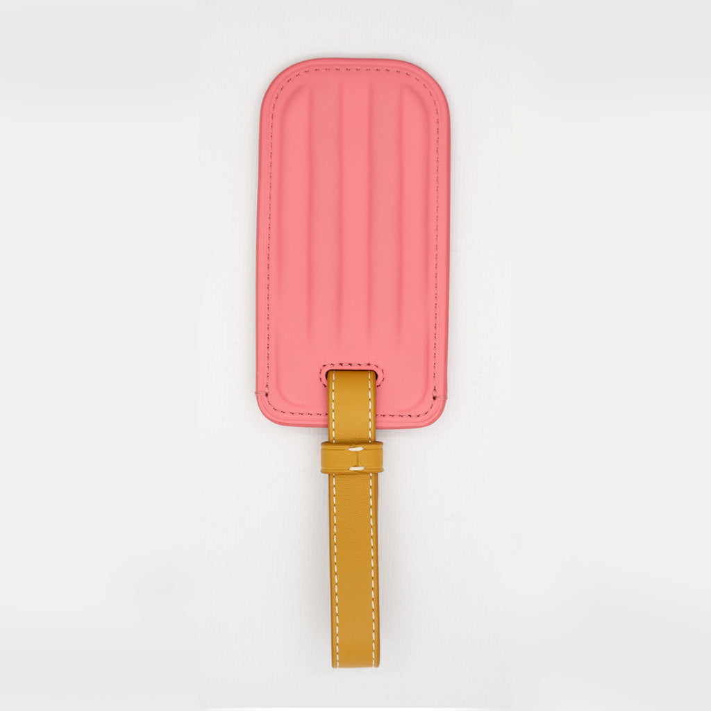 Popsicle Luggage Tag