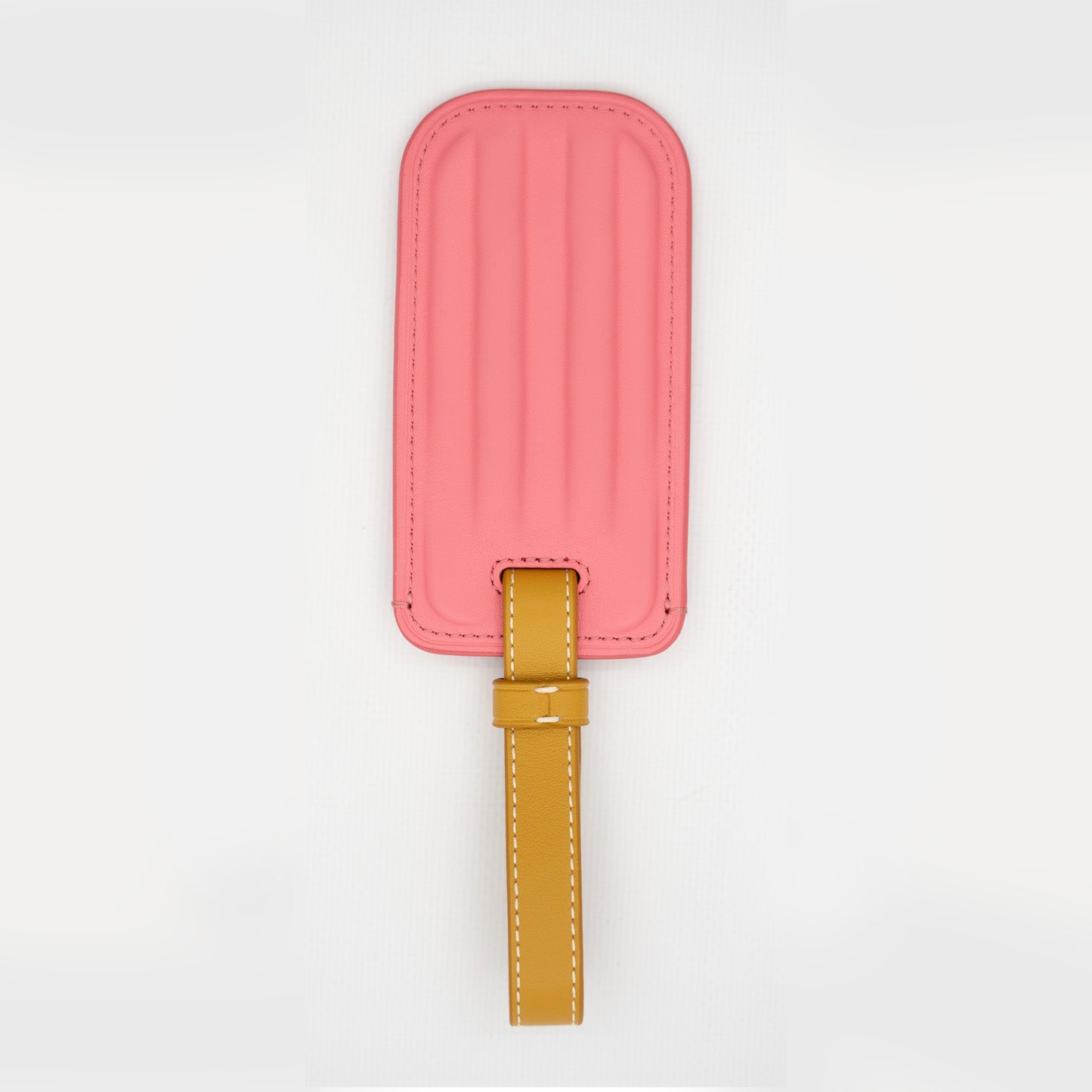 Popsicle Luggage Tag