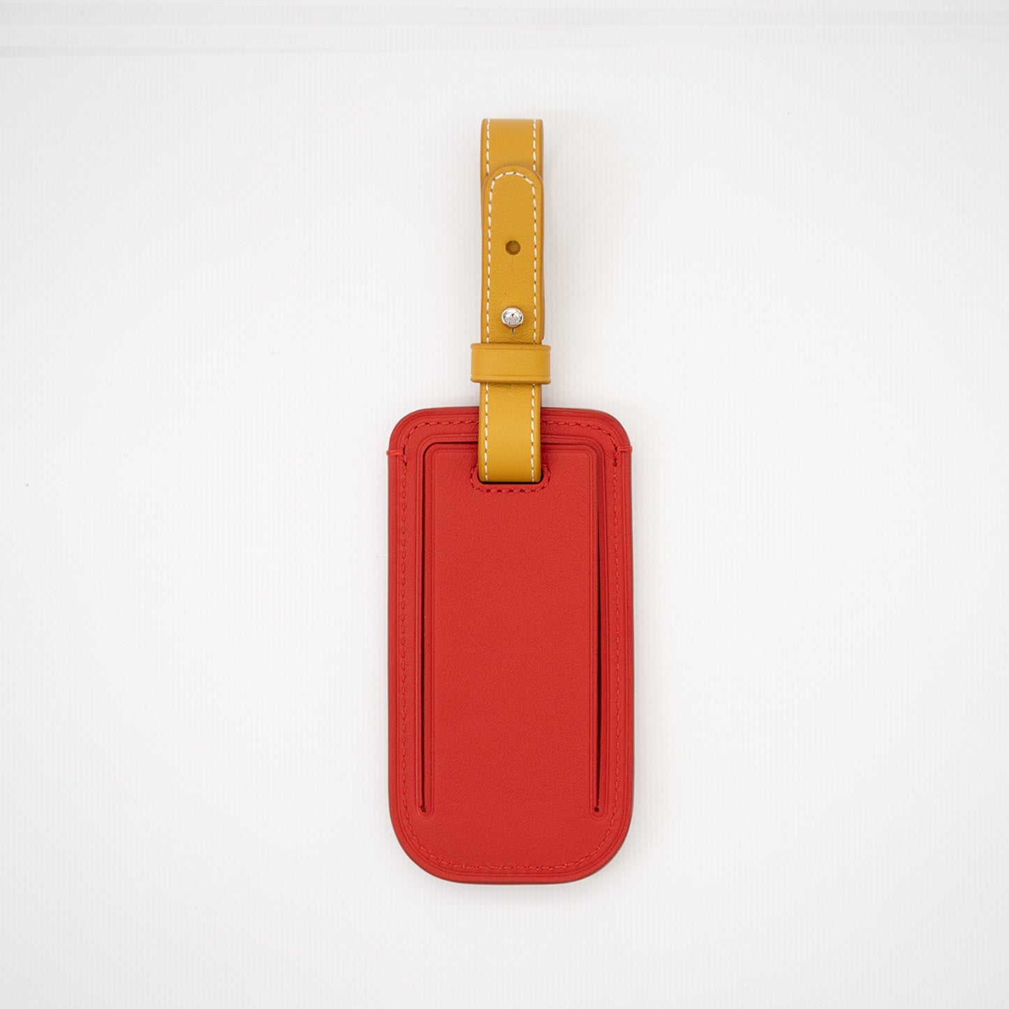 Popsicle Luggage Tag