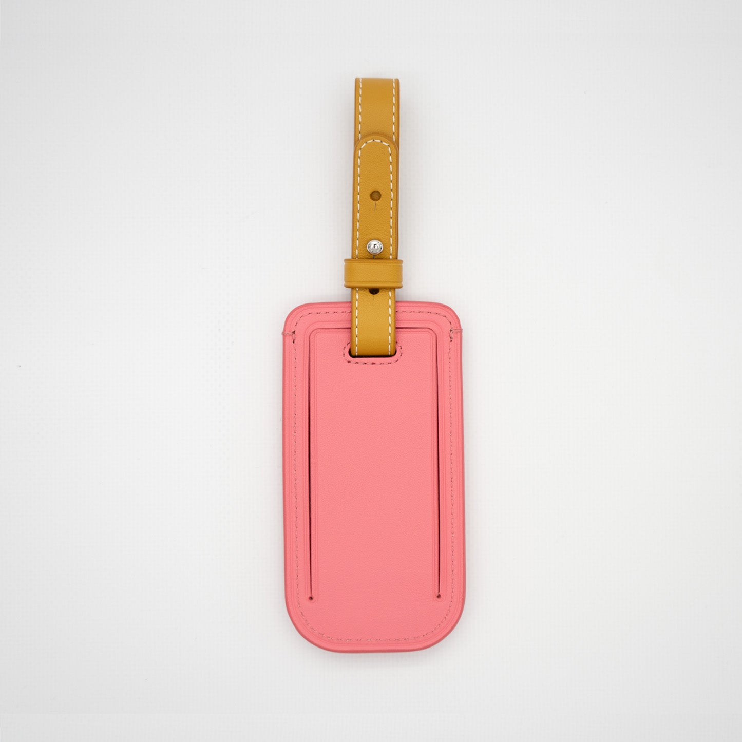 Popsicle Luggage Tag