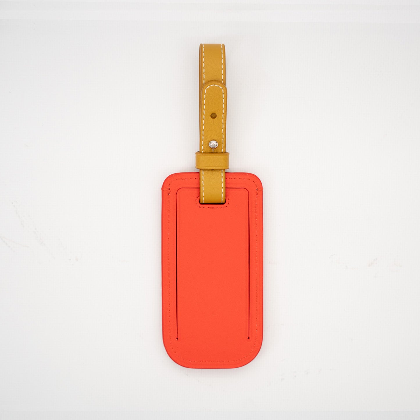 Popsicle Luggage Tag