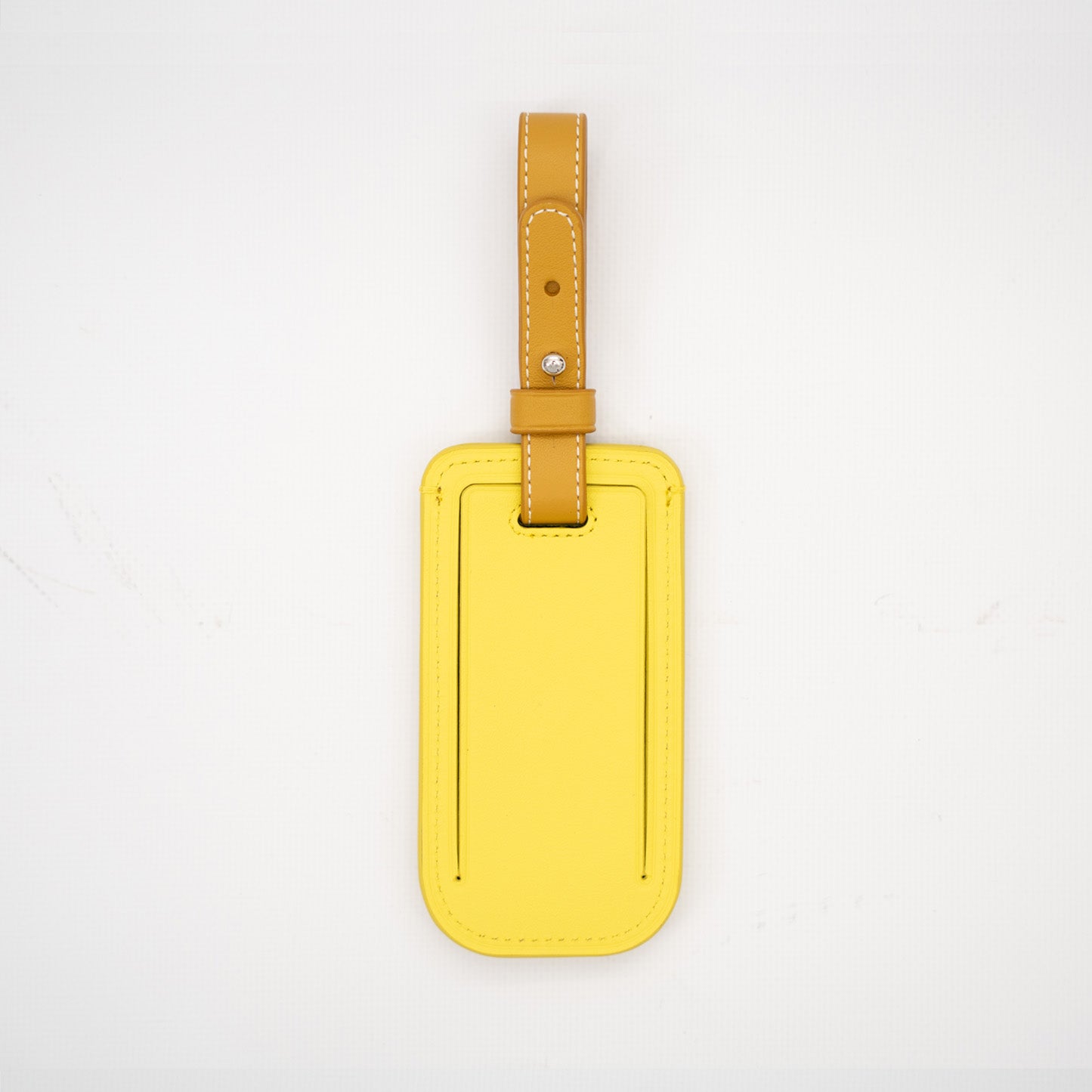 Popsicle Luggage Tag