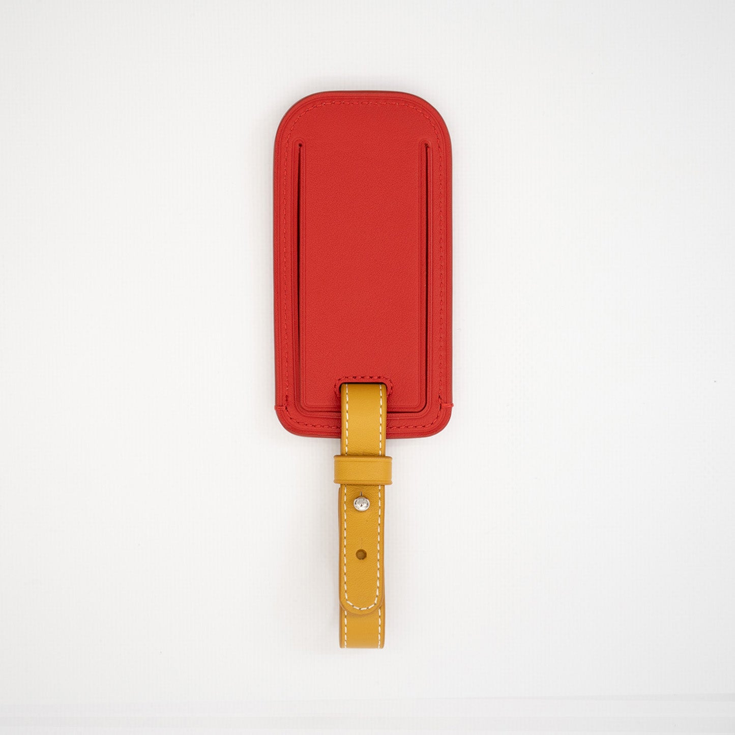 Popsicle Luggage Tag