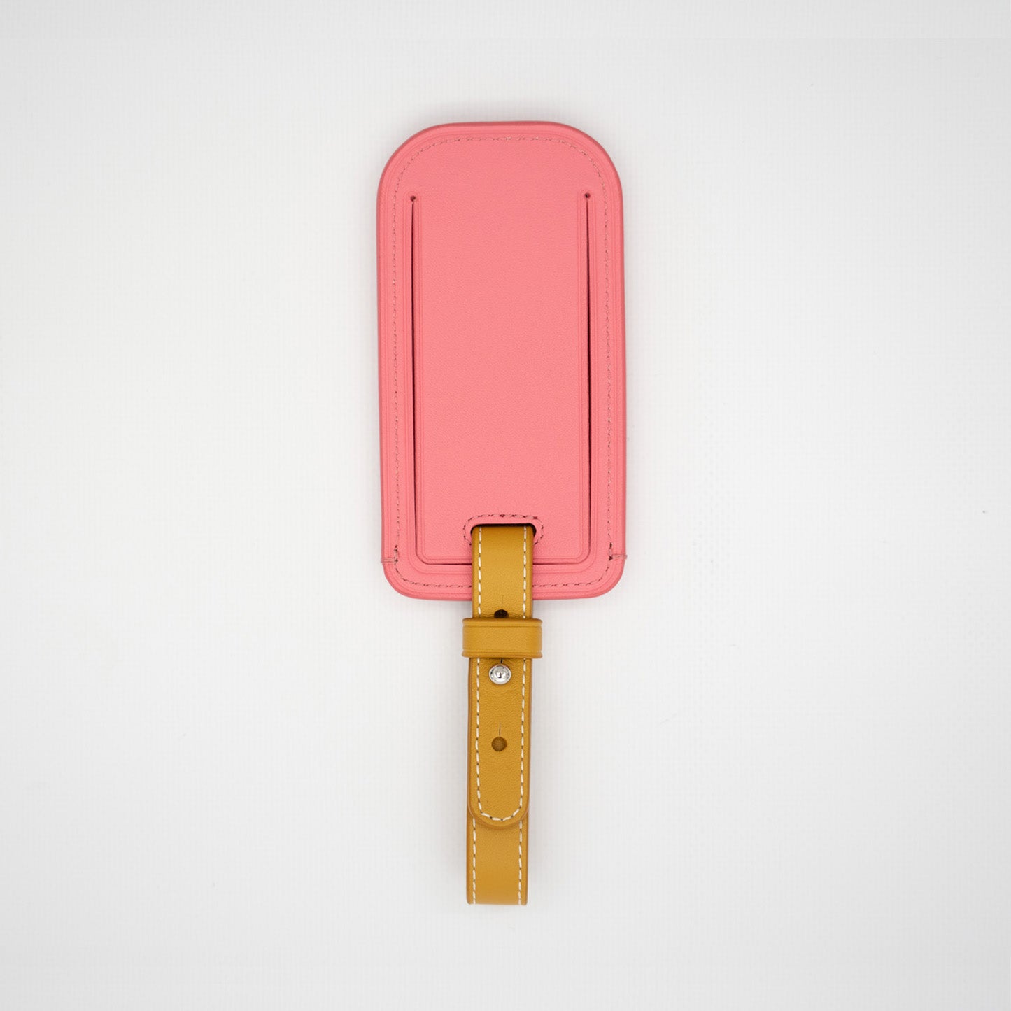 Popsicle Luggage Tag