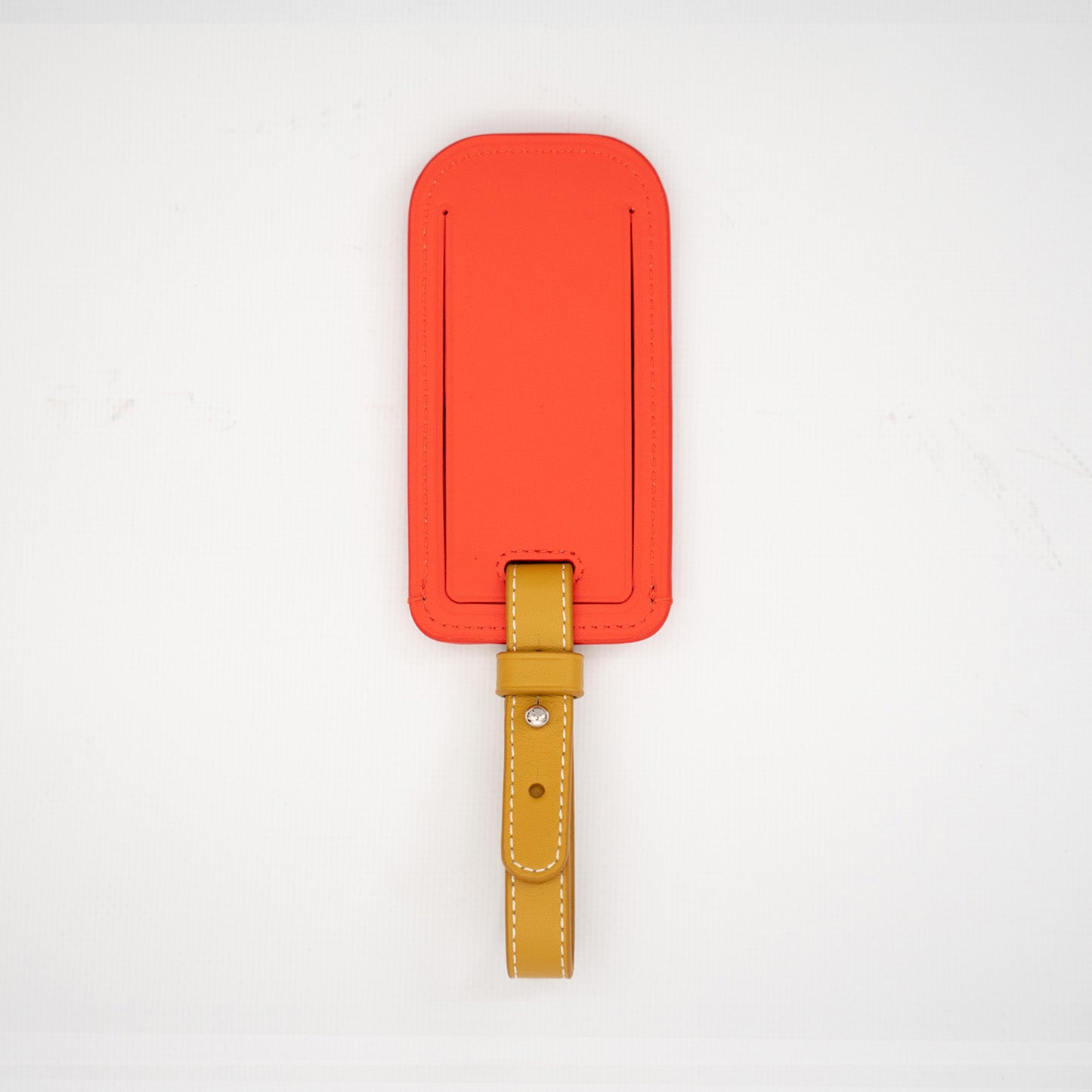 Popsicle Luggage Tag