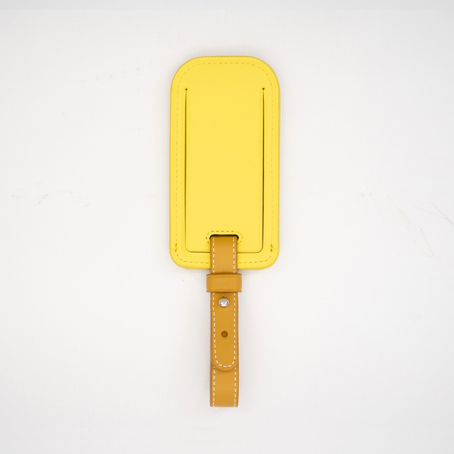 Popsicle Luggage Tag